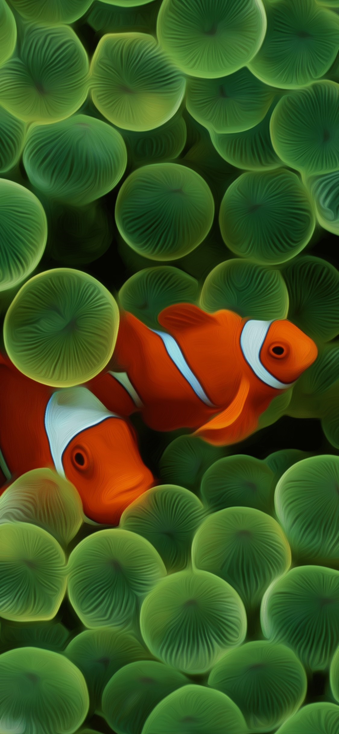 Clownfish Wallpapers