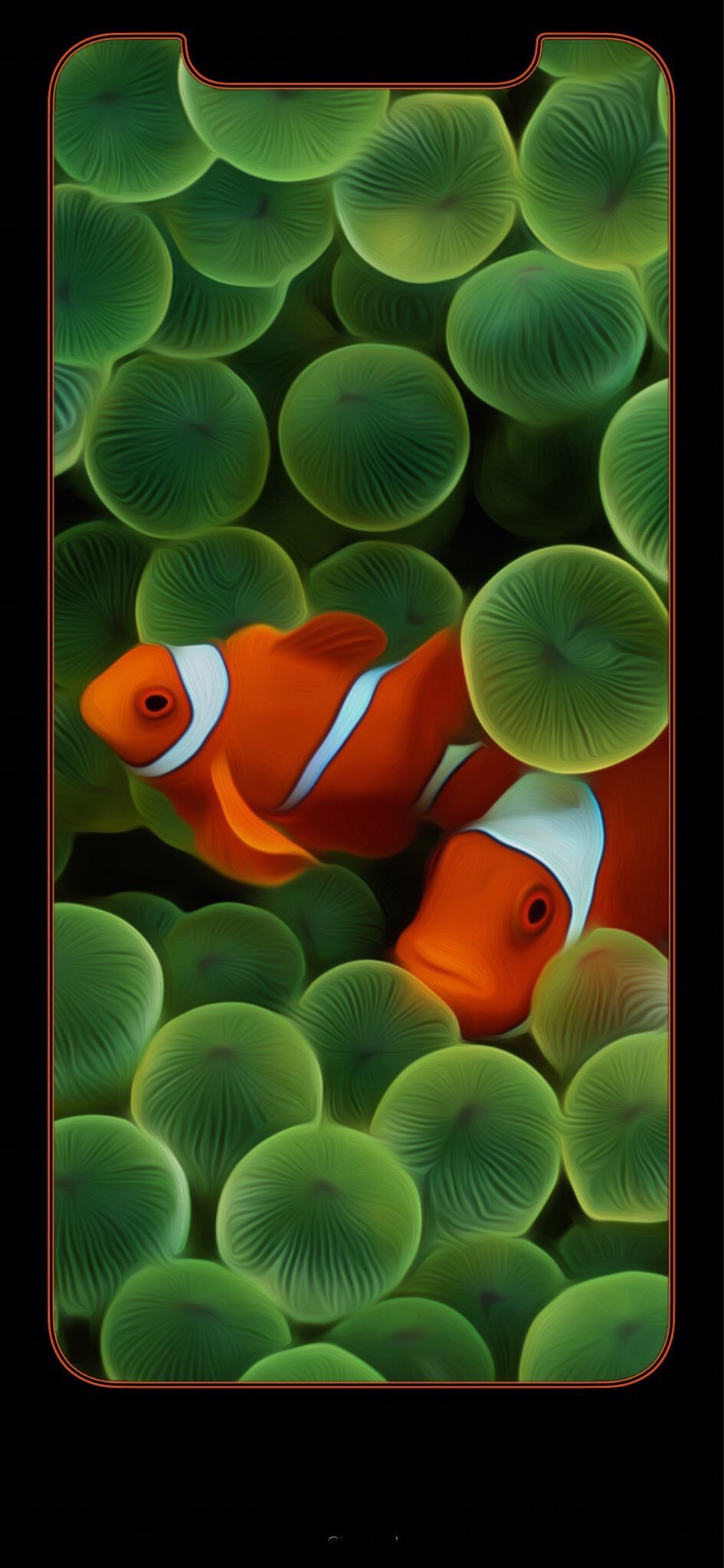 Clownfish Wallpapers