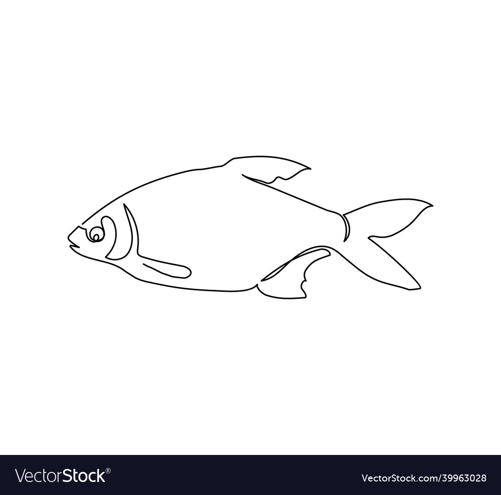 Common Bream Wallpapers