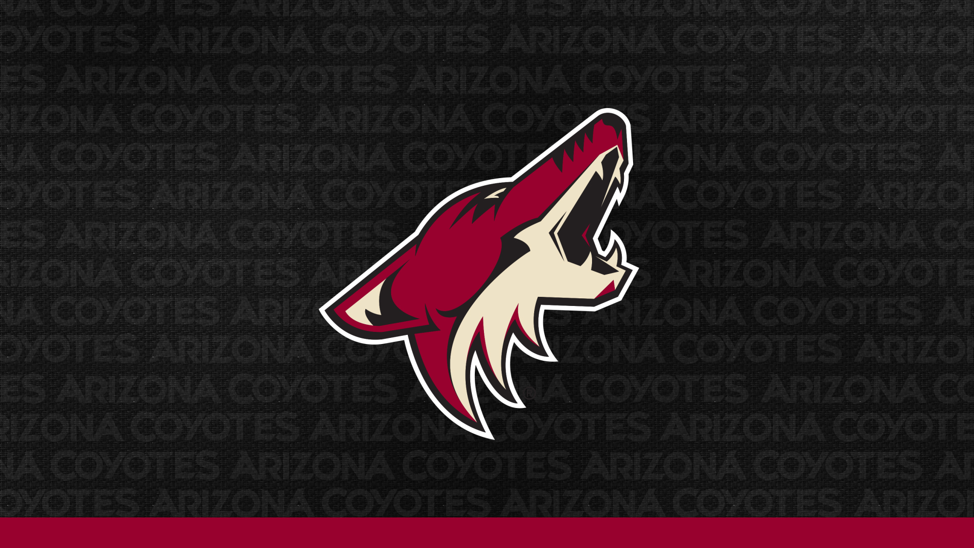 Coyote Wallpapers