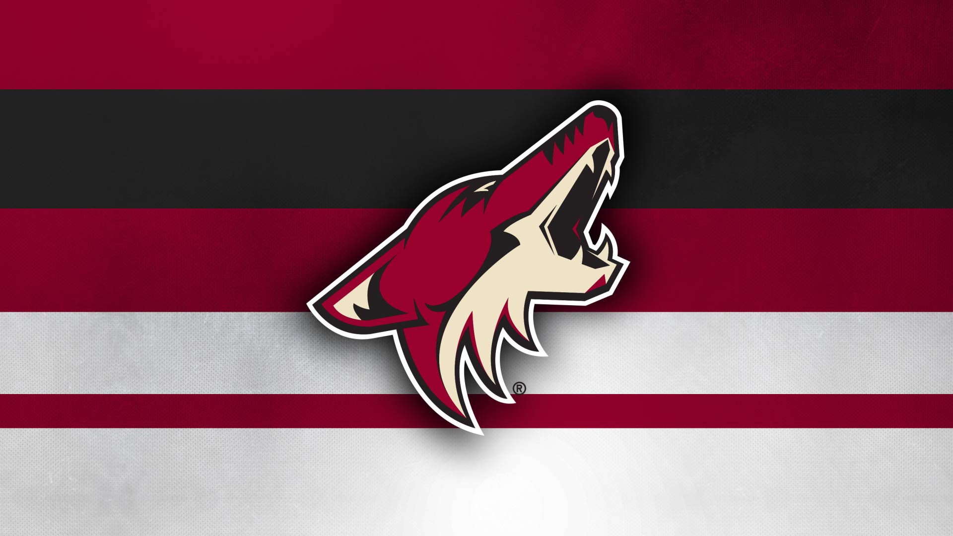 Coyote Wallpapers