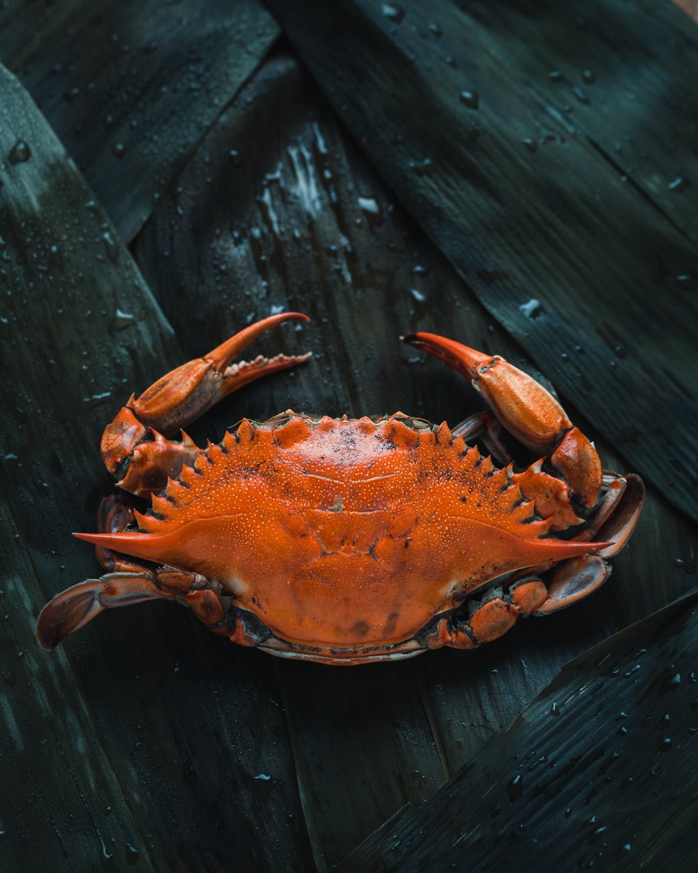 Crab Wallpapers