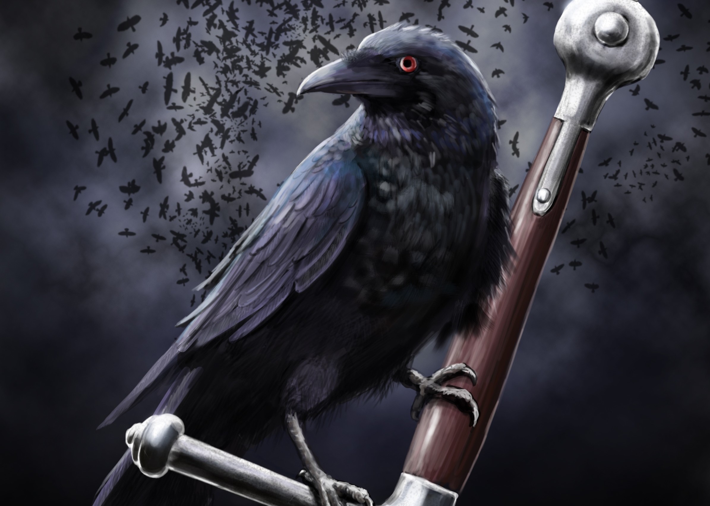 Crow Wallpapers