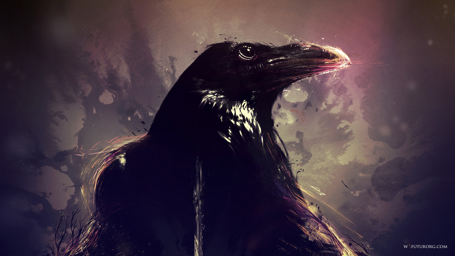 Crow Wallpapers