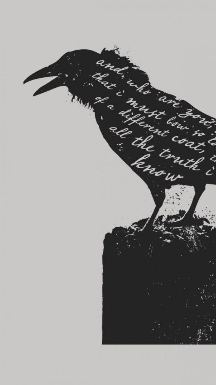 Crow Wallpapers