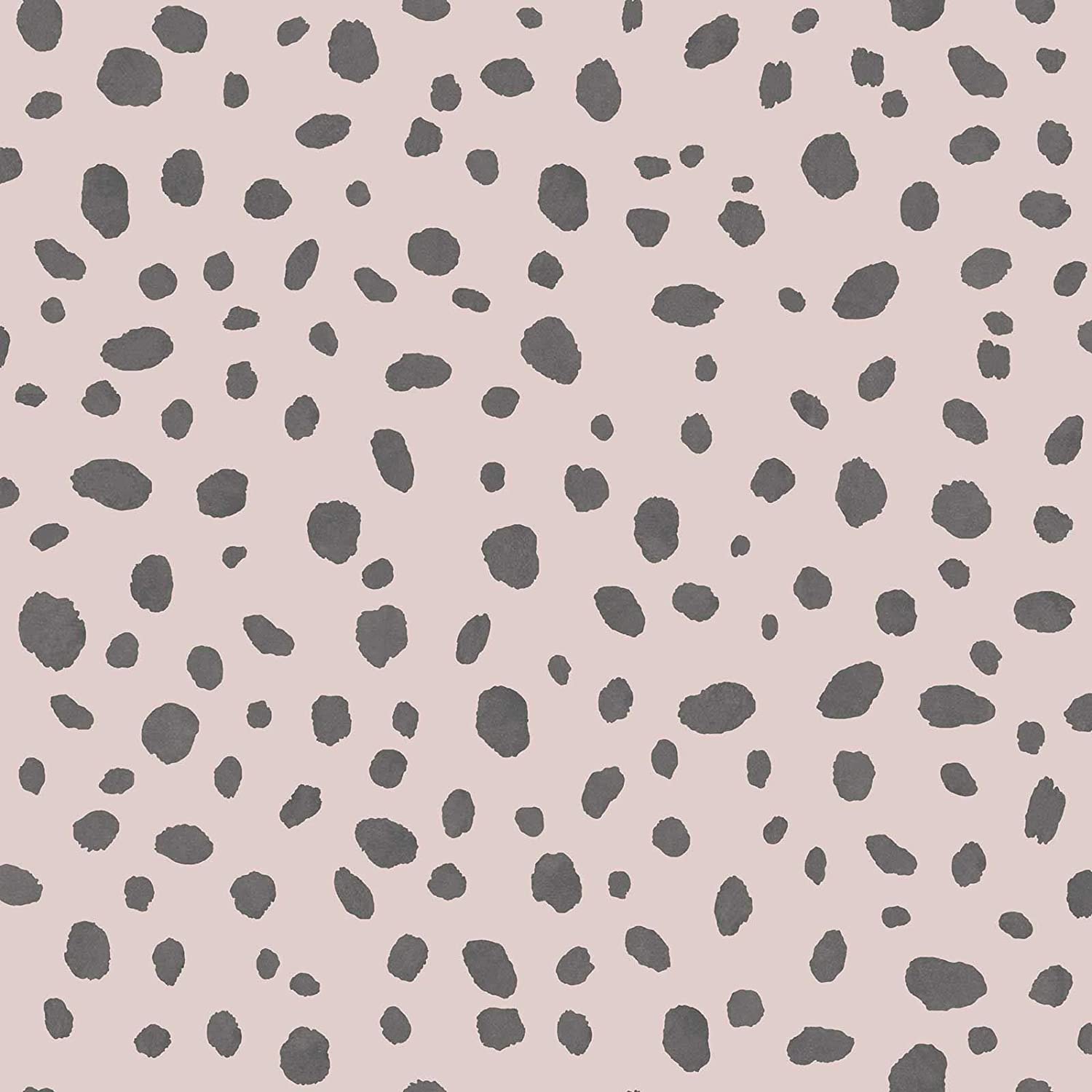 Dalmatian Wallpapers