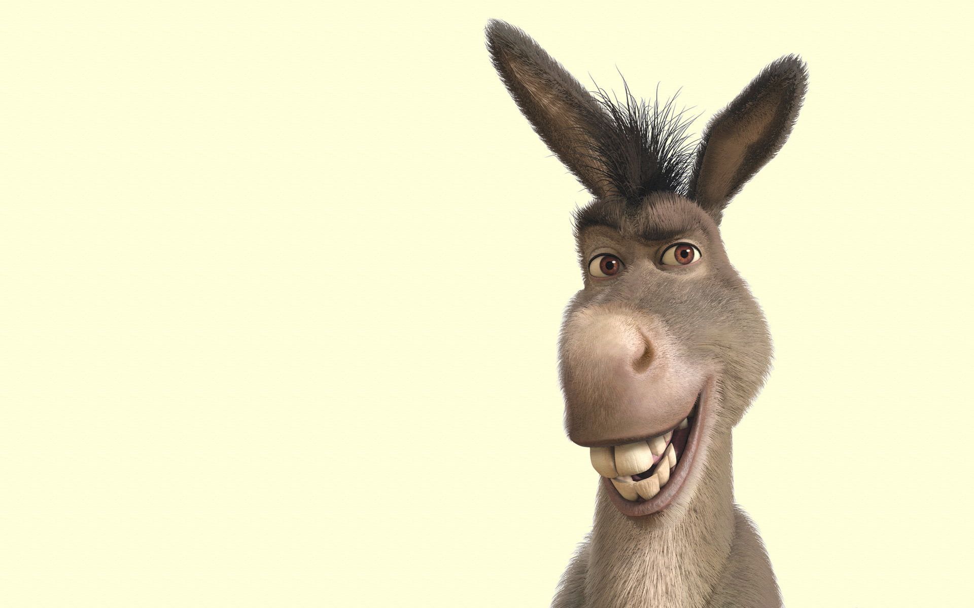 Donkey Wallpapers