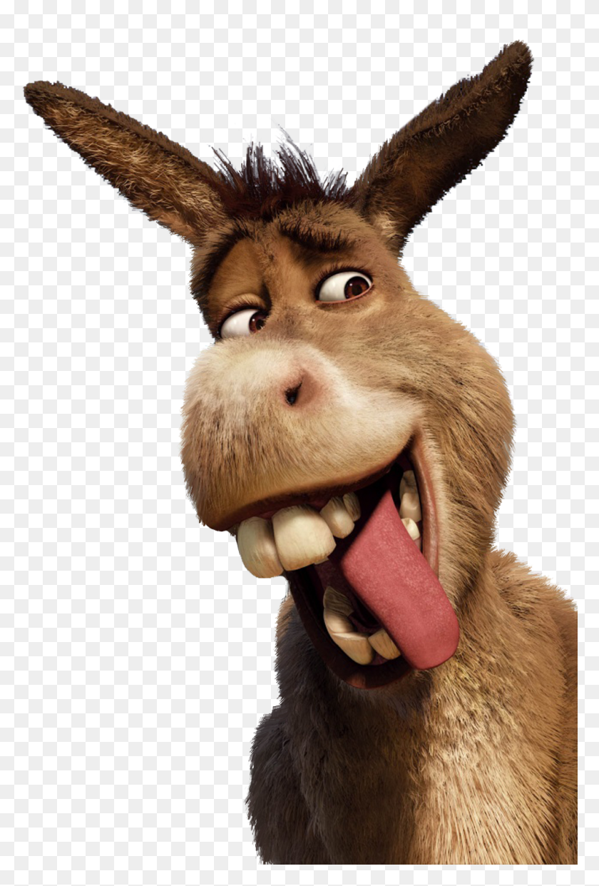 Donkey Wallpapers