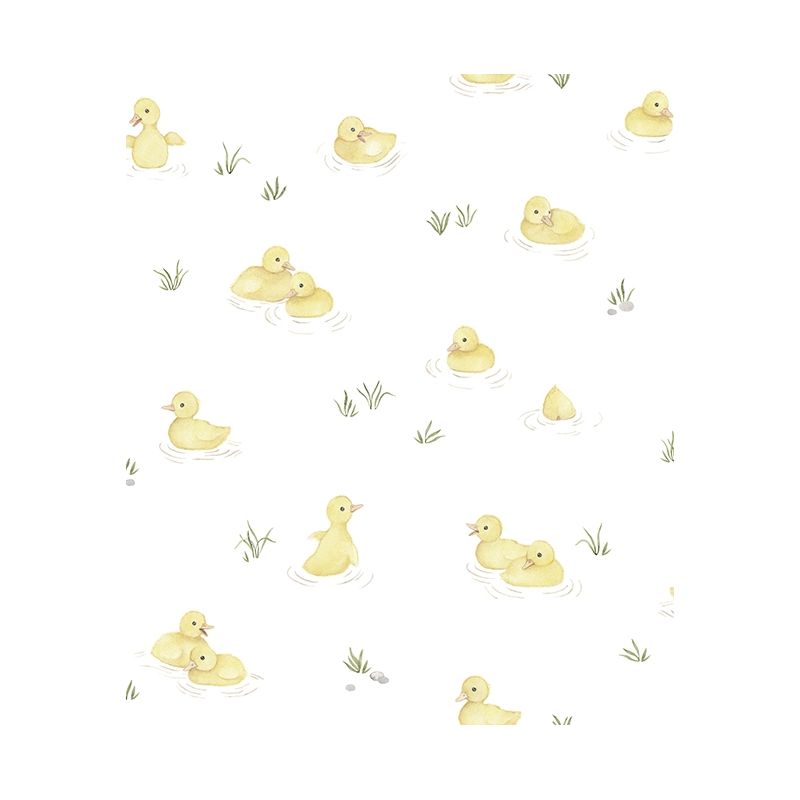 Duck Wallpapers