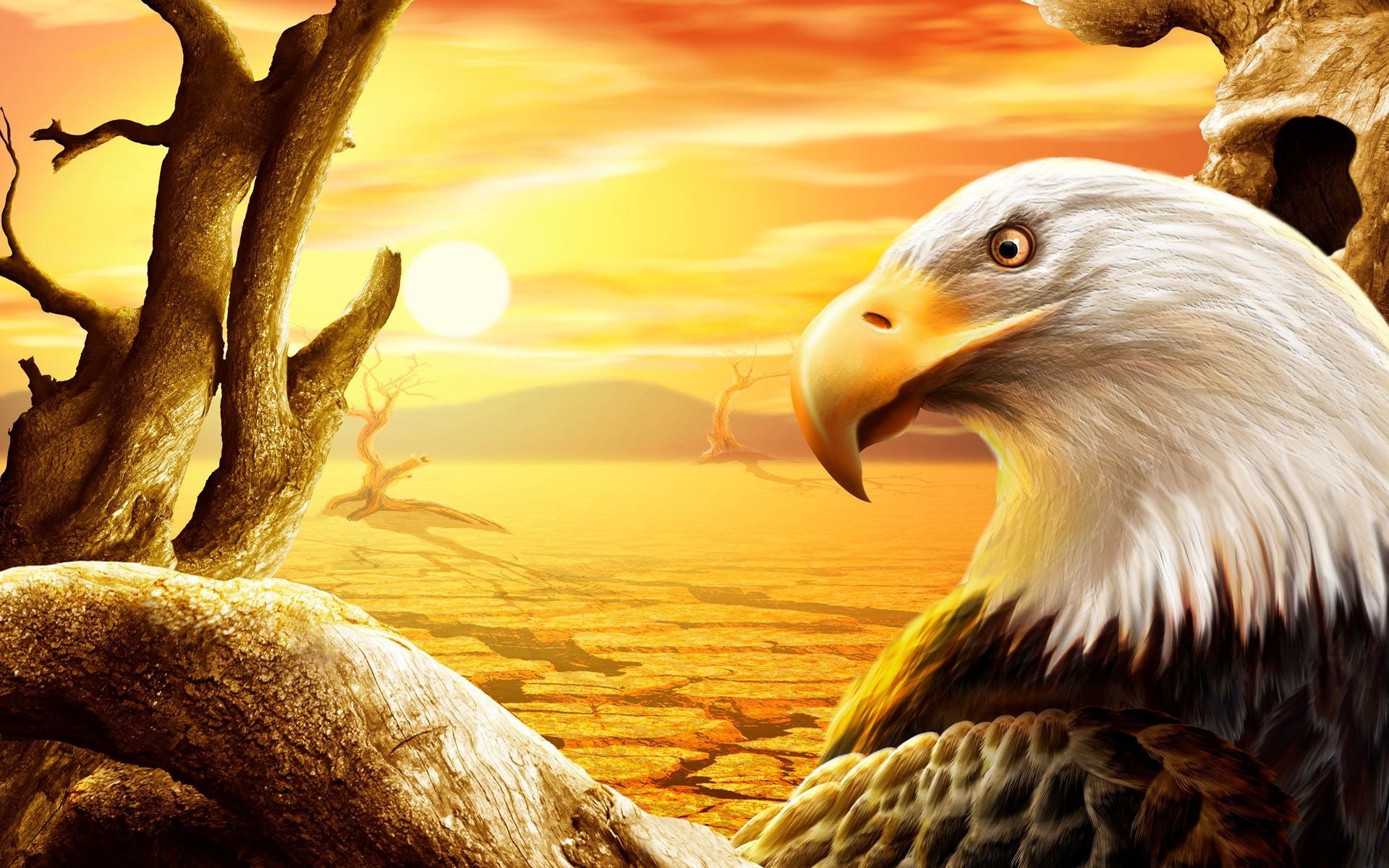 Eagle Wallpapers