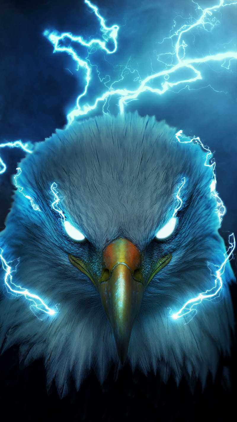 Eagle Wallpapers