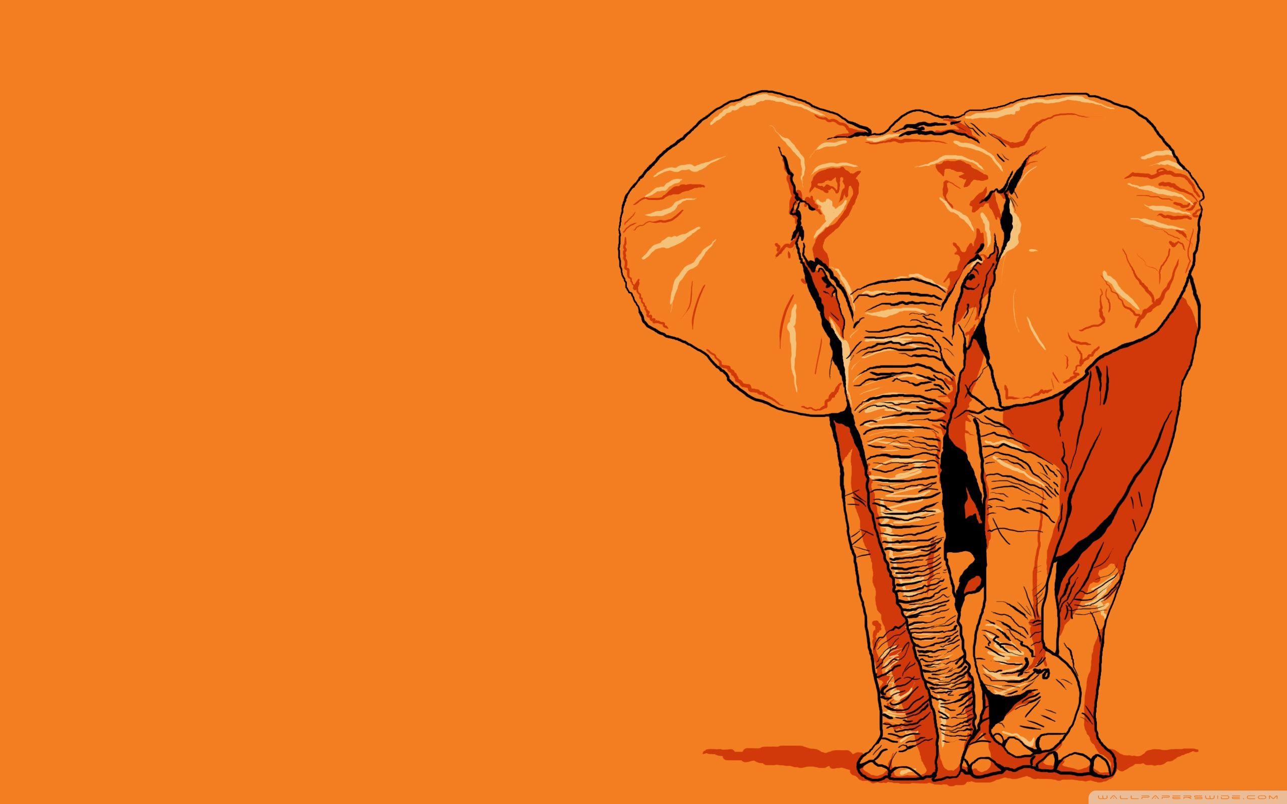 Elephant Wallpapers