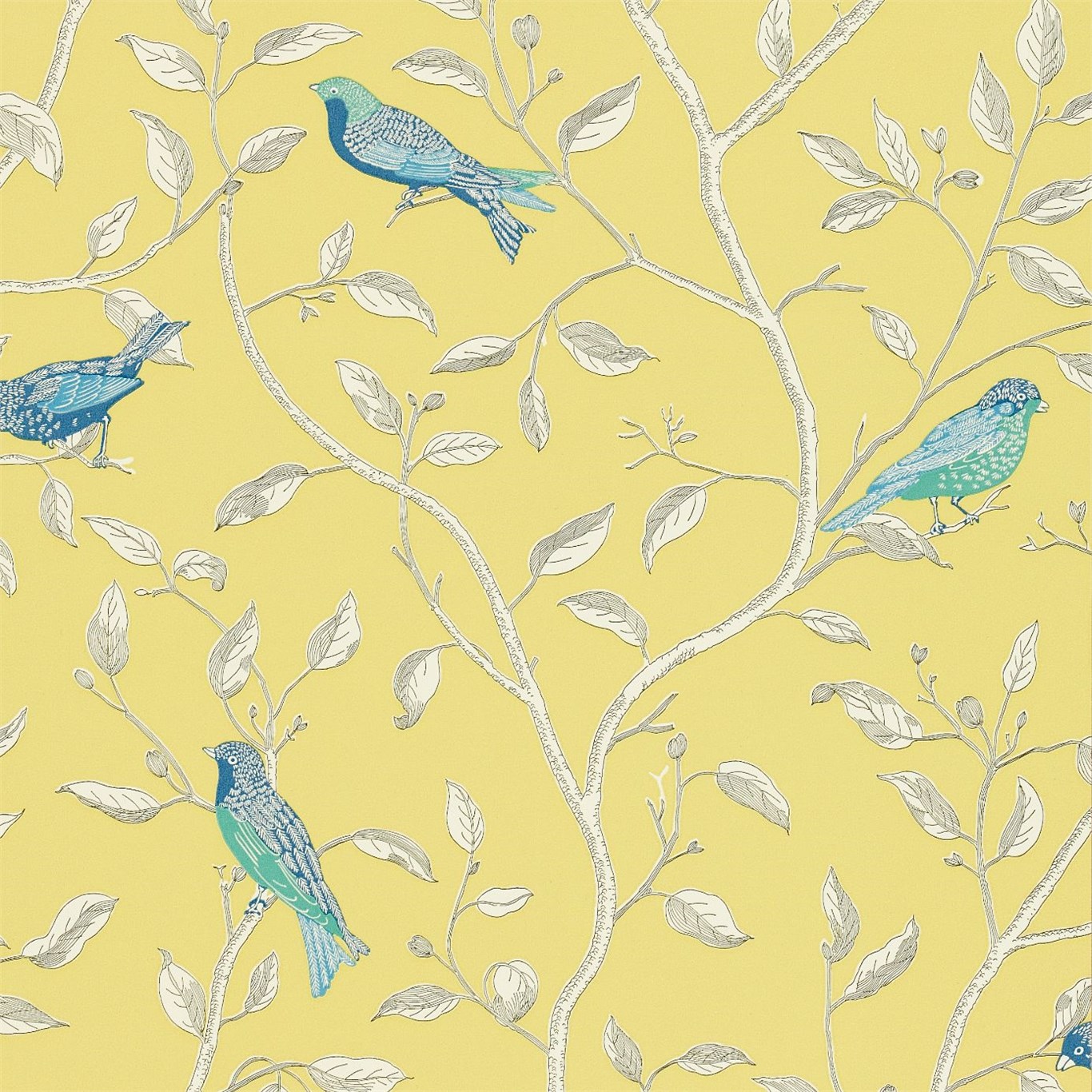 Finch Wallpapers