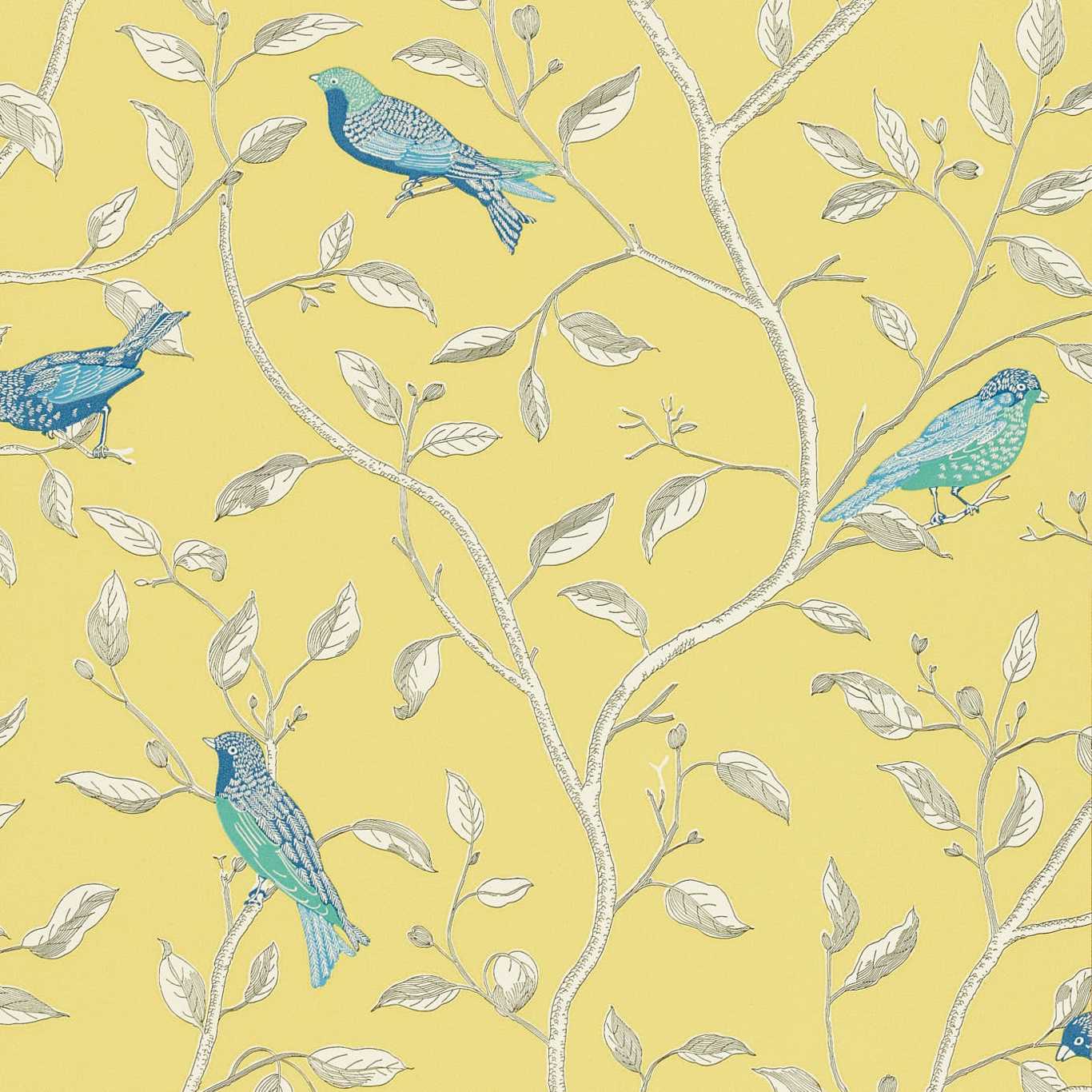 Finches Wallpapers