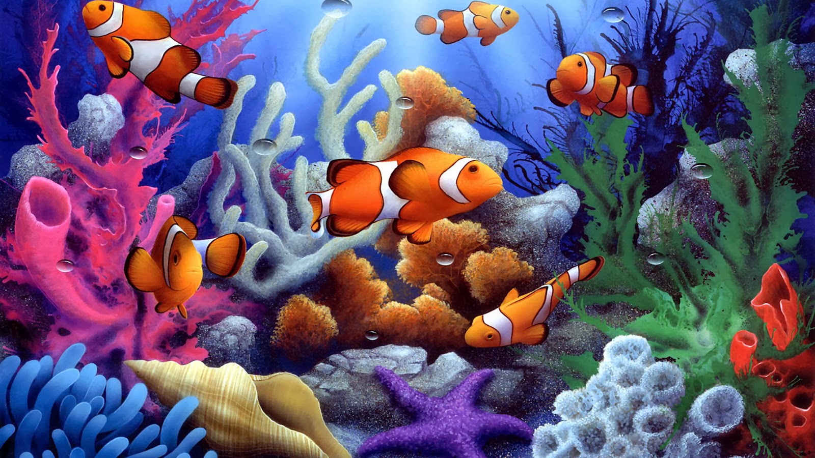 Fish Wallpapers