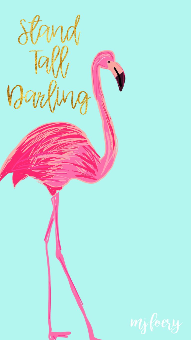 Flamingo Wallpapers