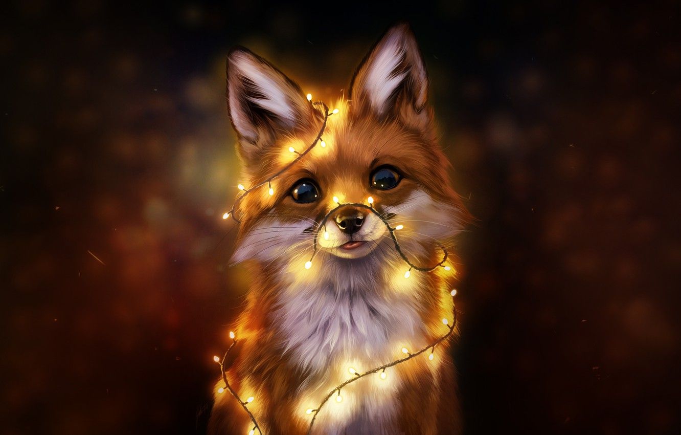 Fox Wallpapers