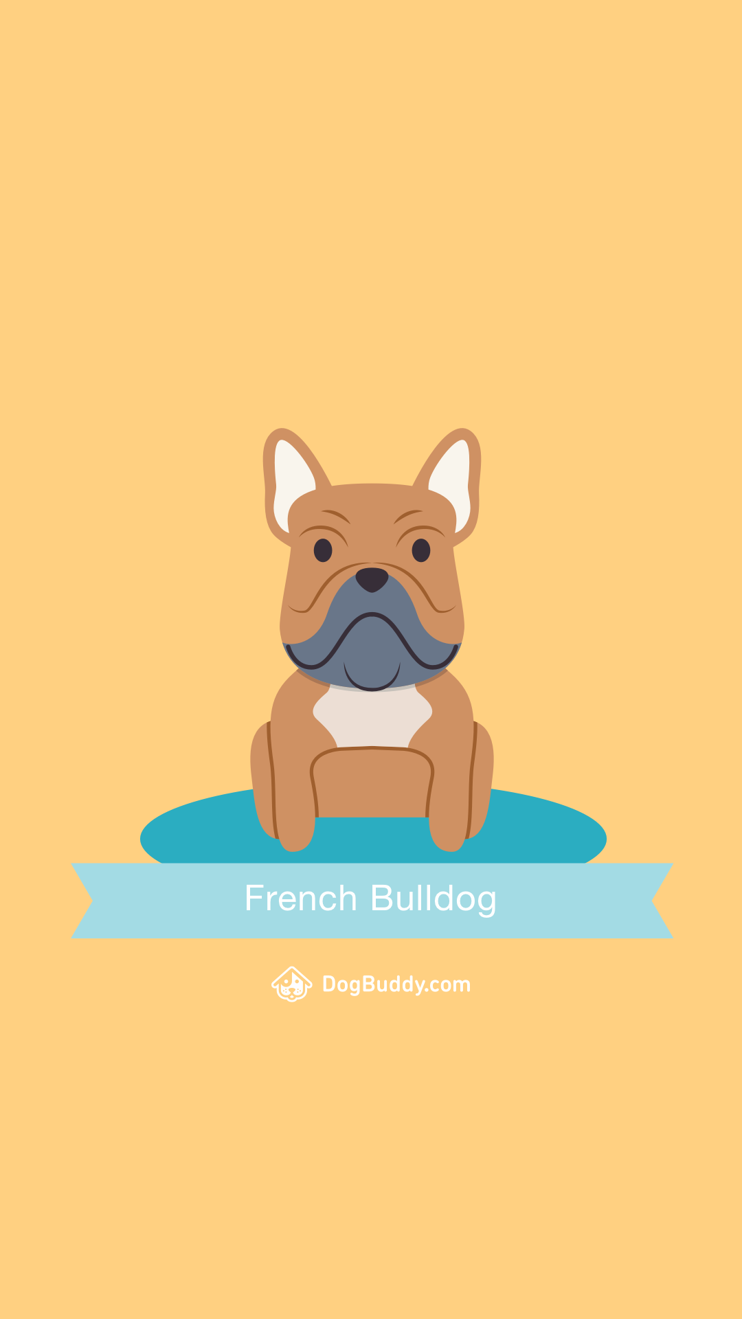 French Bulldog Wallpapers