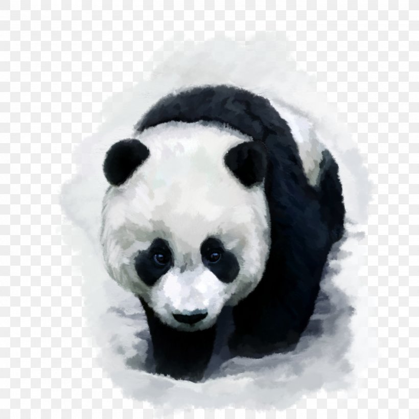 Giant Pandas Wallpapers