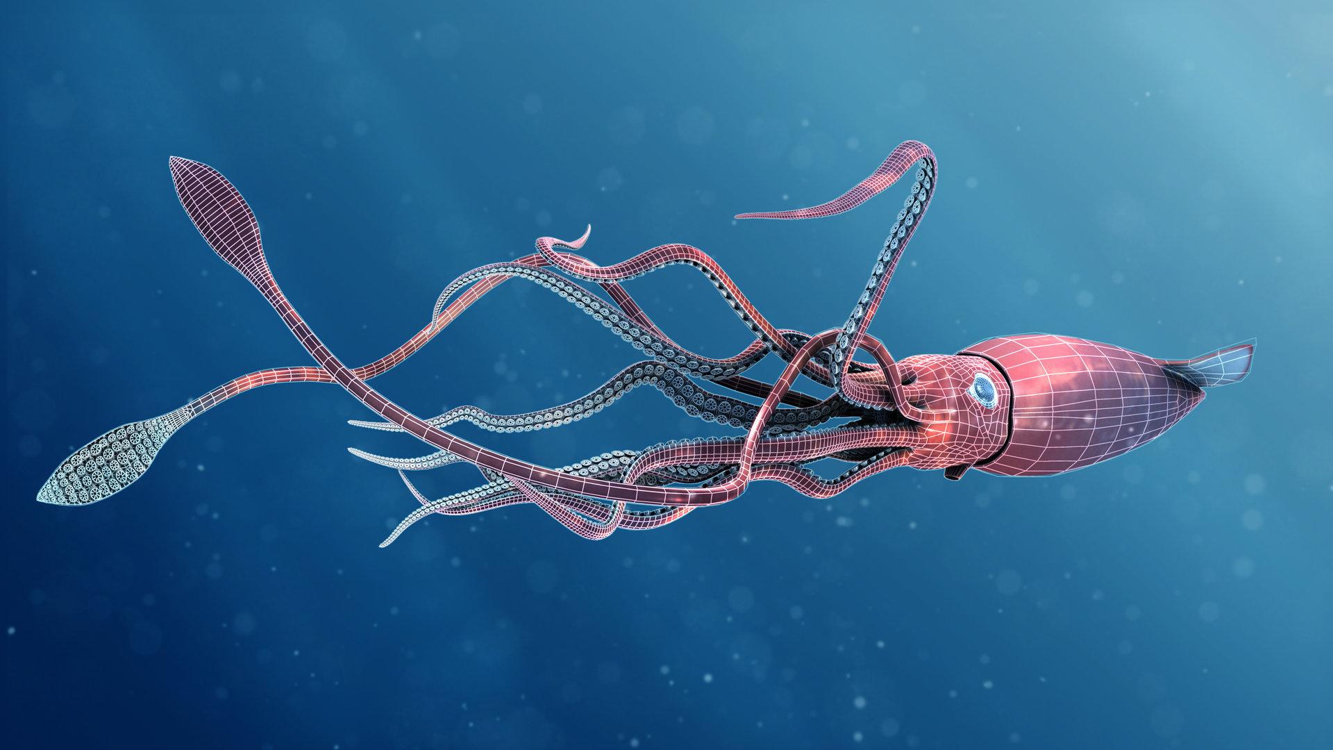 Giant Squid Wallpapers