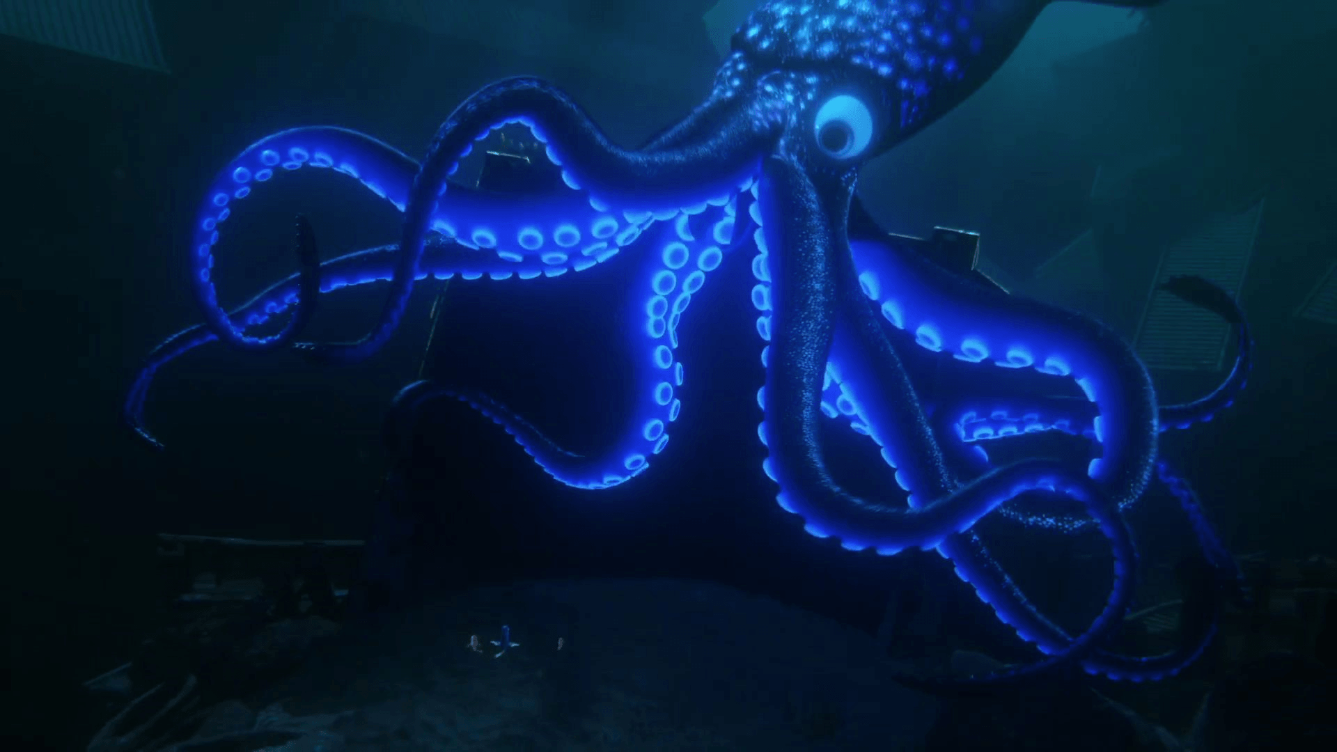 Giant Squid Wallpapers