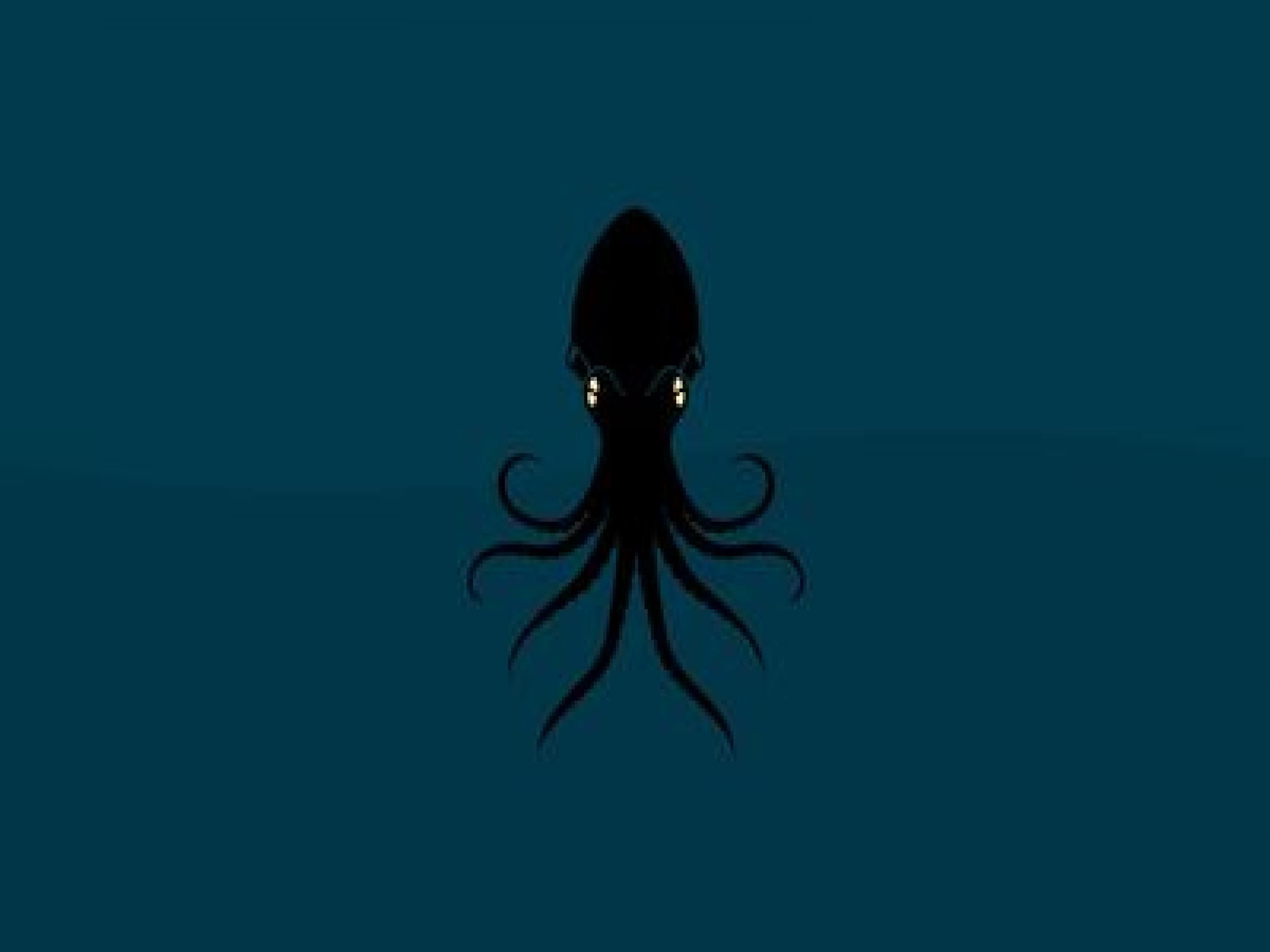 Giant Squid Wallpapers