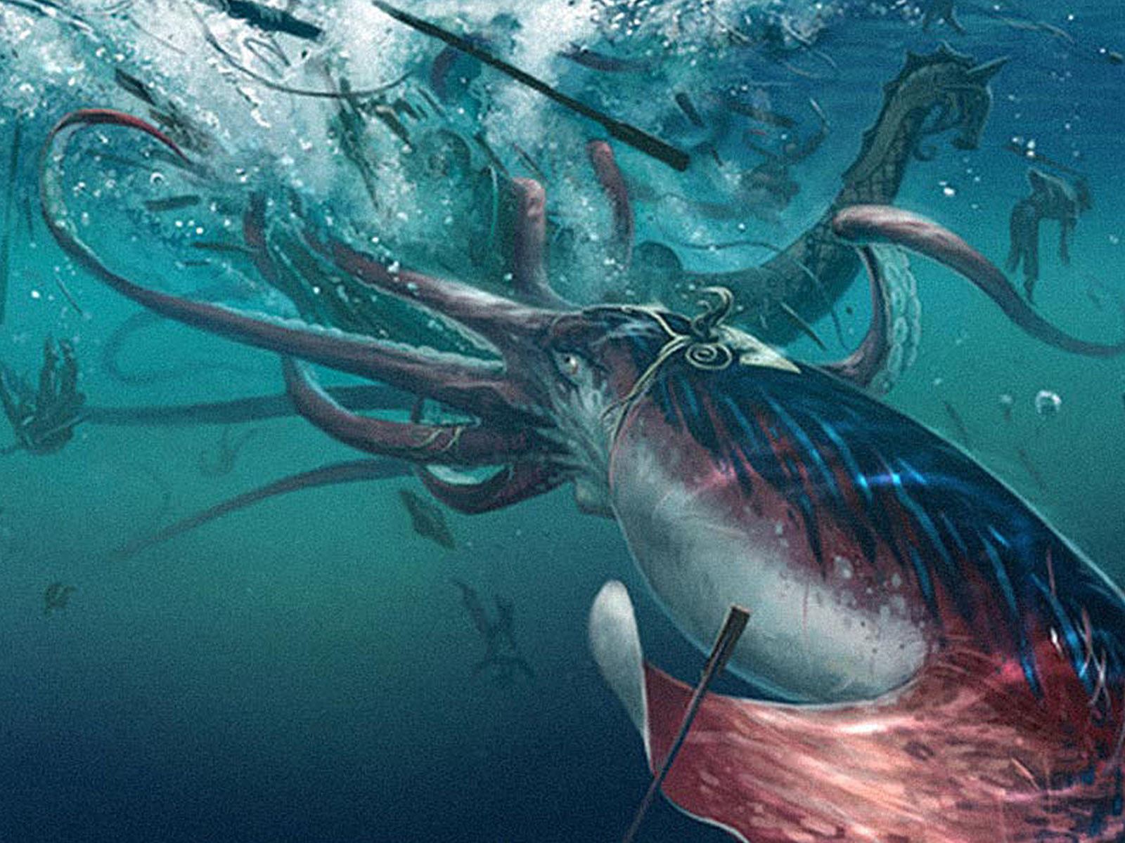 Giant Squid Wallpapers