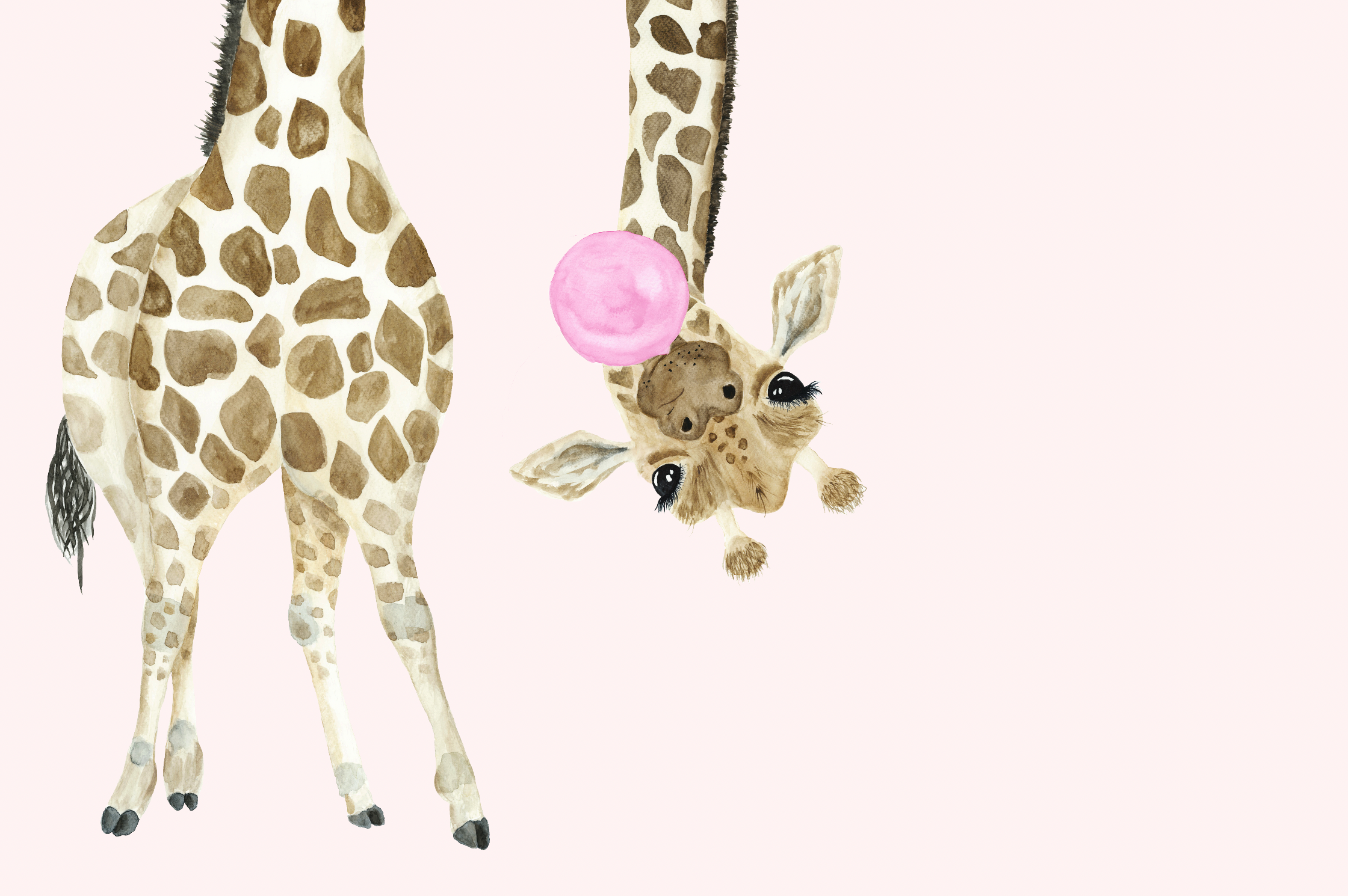 Giraffe Wallpapers