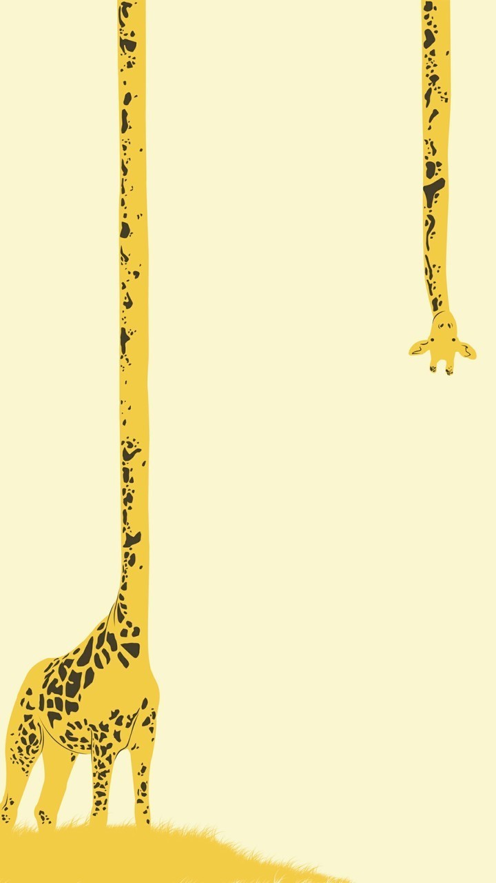 Giraffe Wallpapers