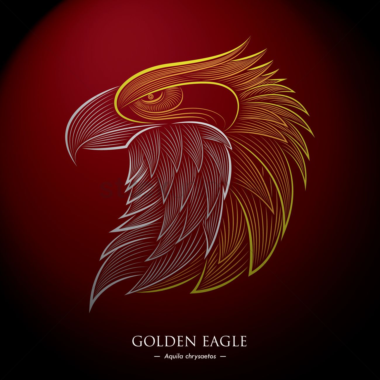 Golden Eagle Wallpapers