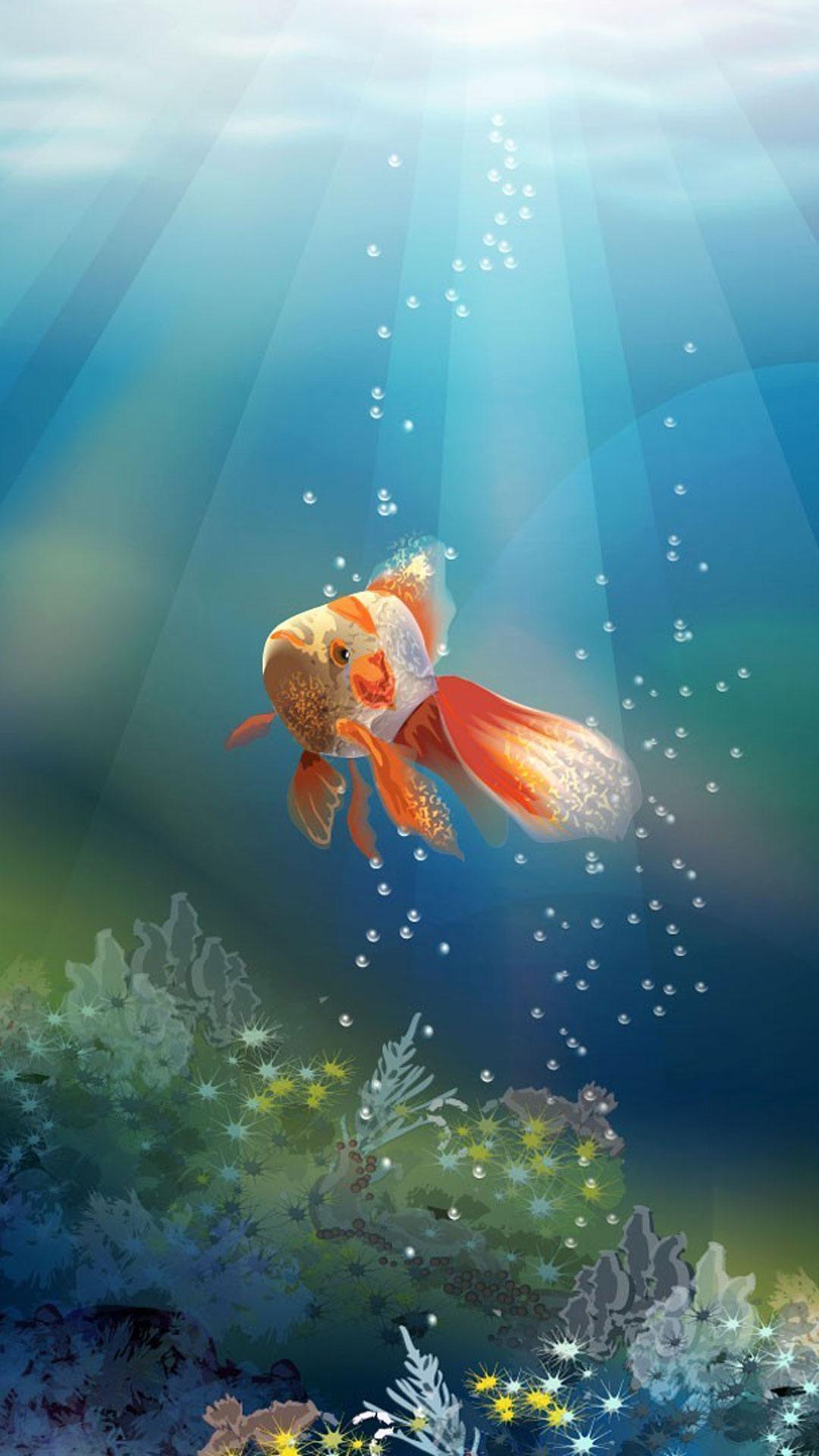 Goldfish Wallpapers