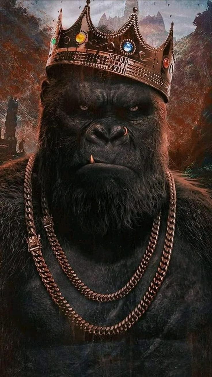 Gorilla Wallpapers