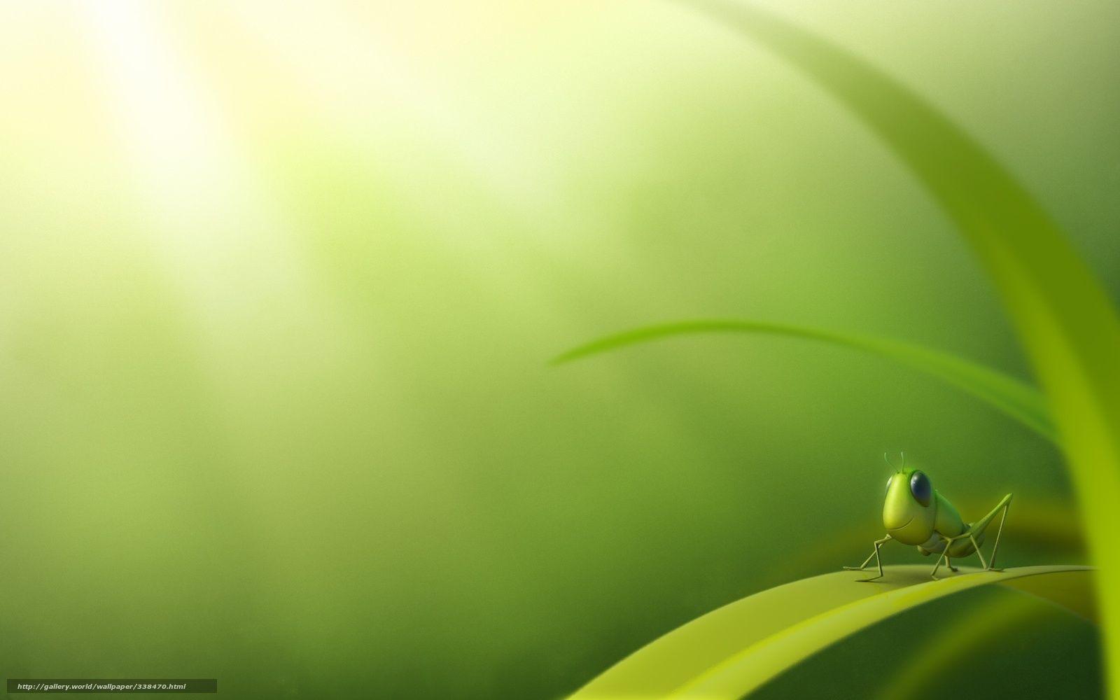 Grasshopper Wallpapers