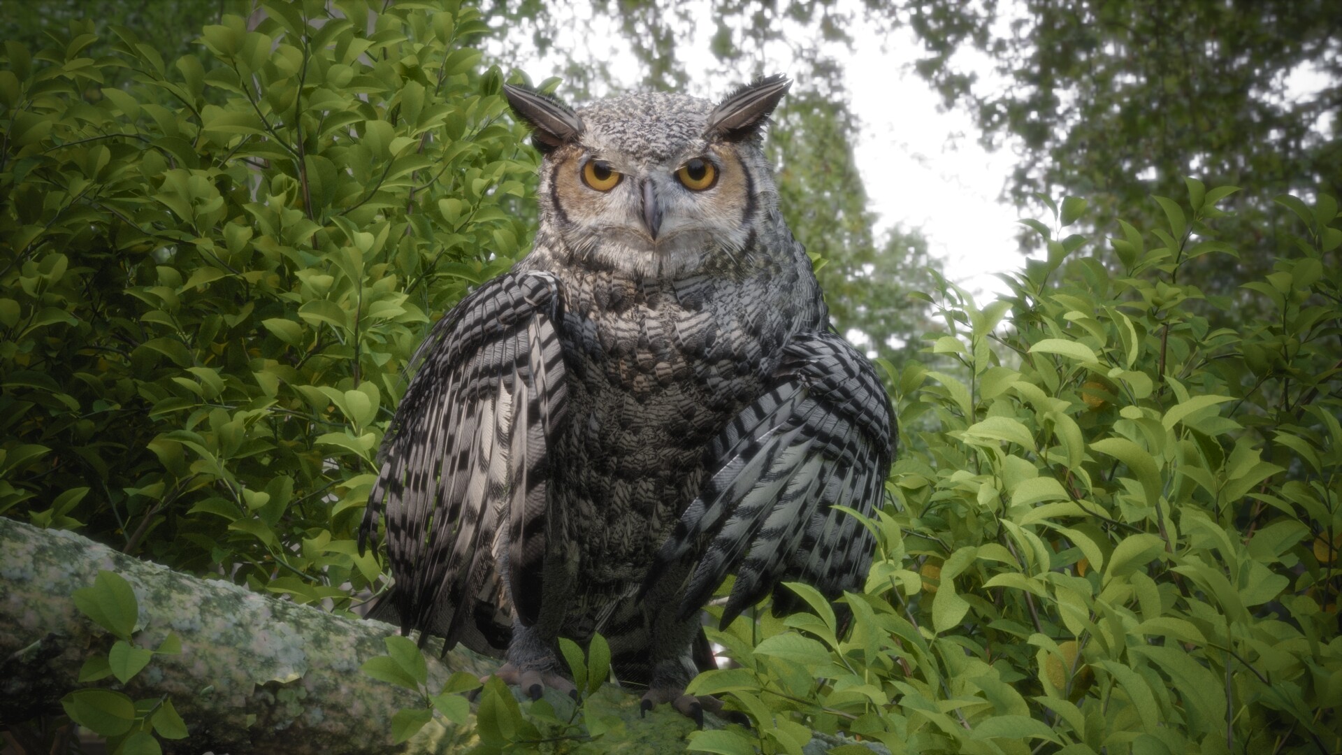 Great Horned Owl Wallpapers