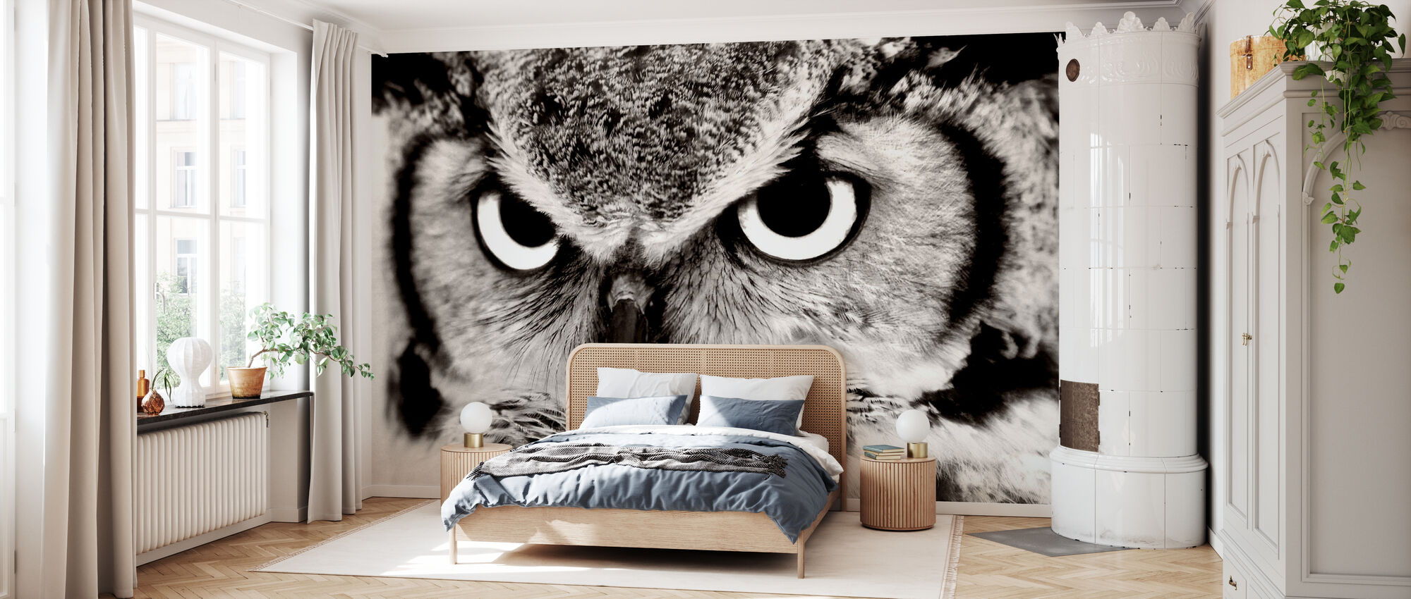 Great Horned Owl Wallpapers