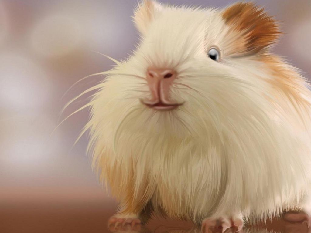 Hamster Wallpapers