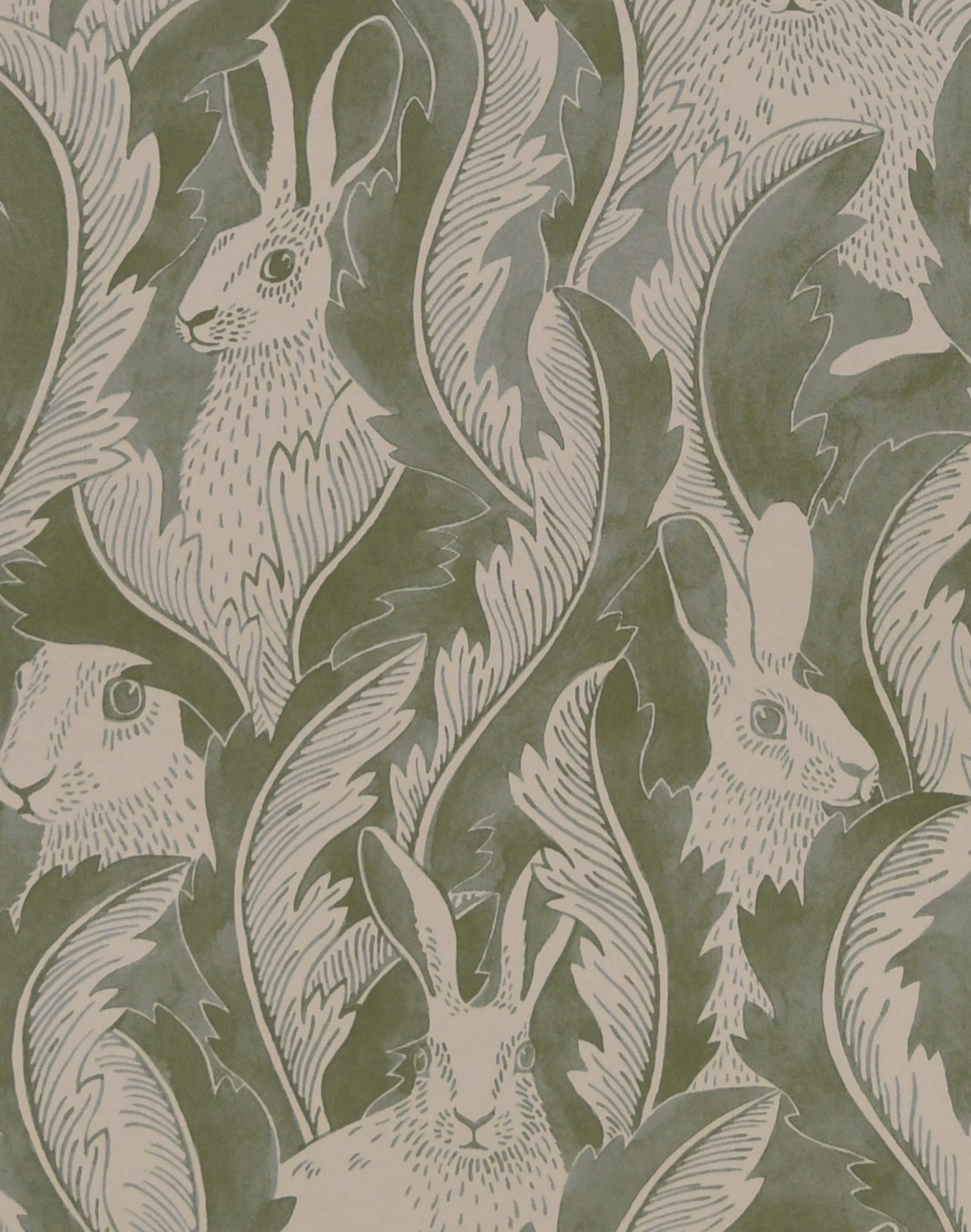 Hares Wallpapers