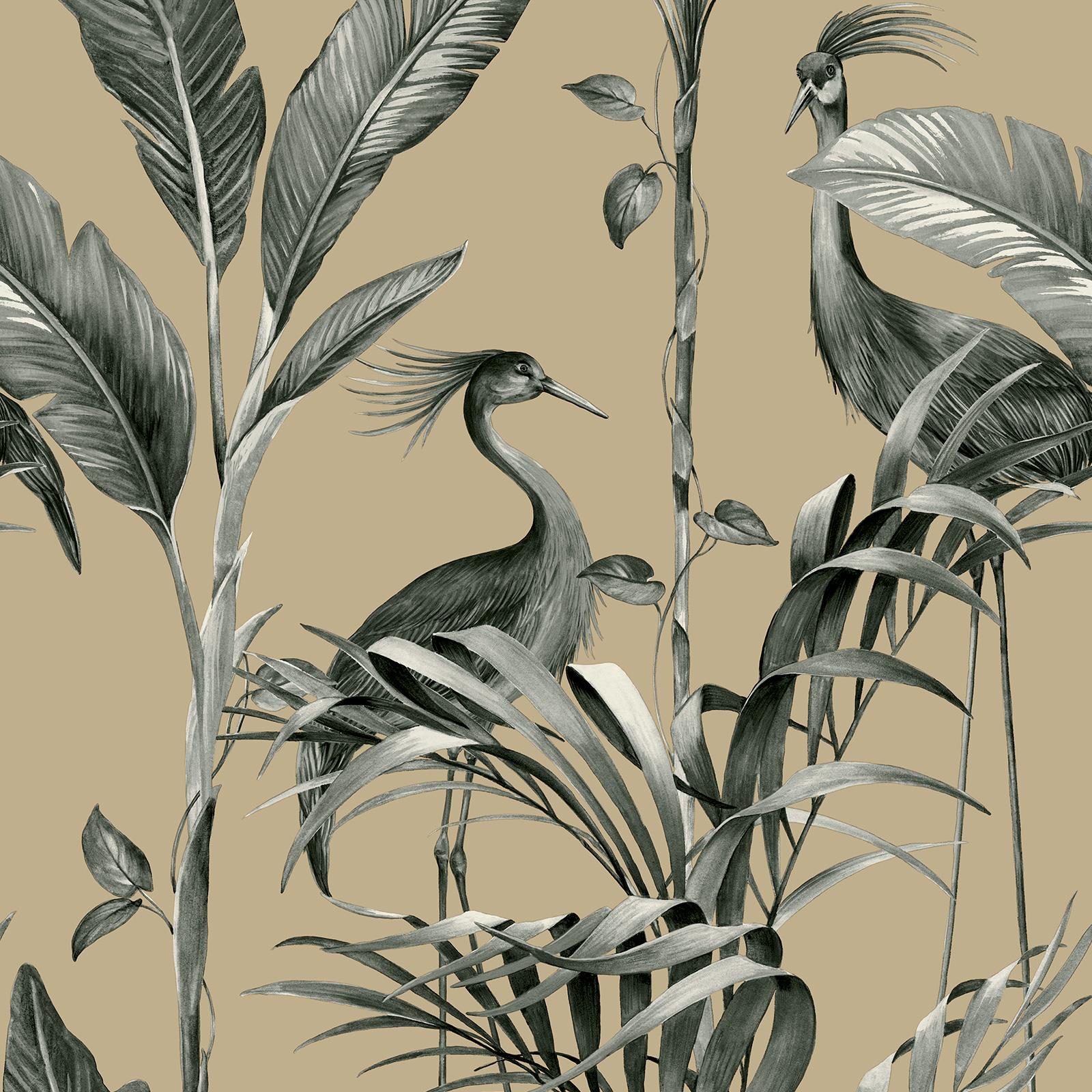 Herons Wallpapers