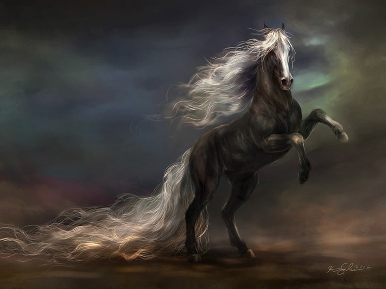 Horse Wallpapers