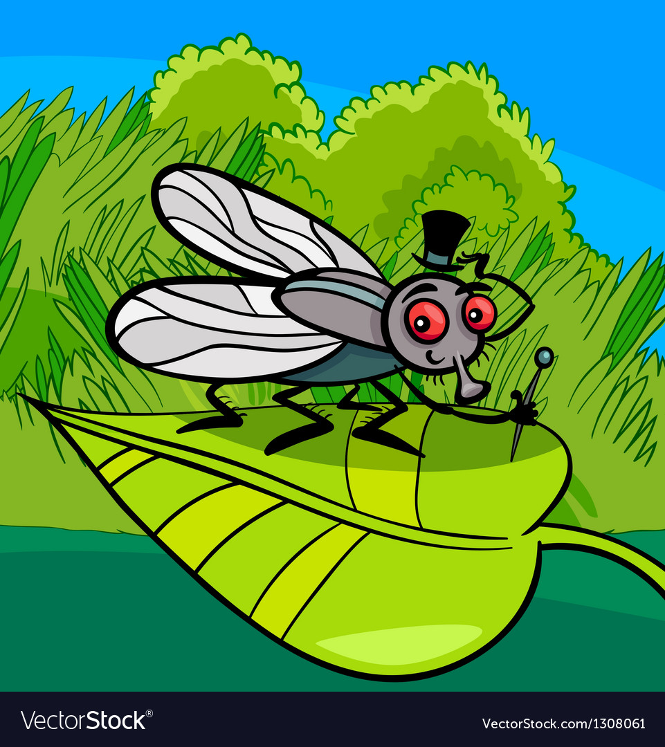 Housefly Wallpapers