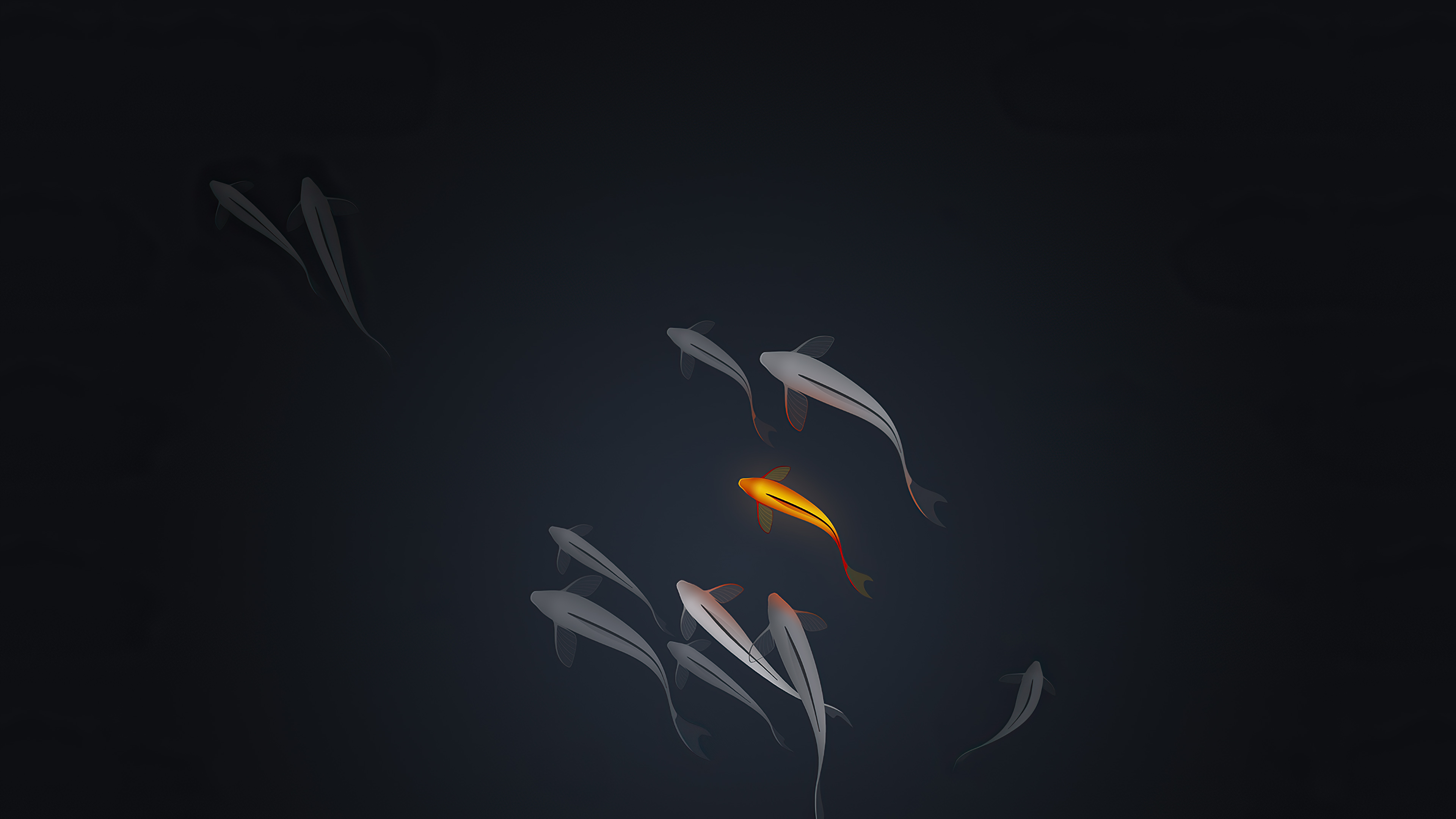 Koi Wallpapers