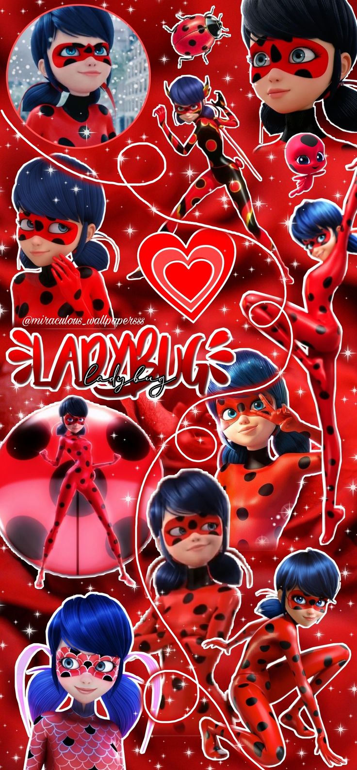 Ladybug Wallpapers