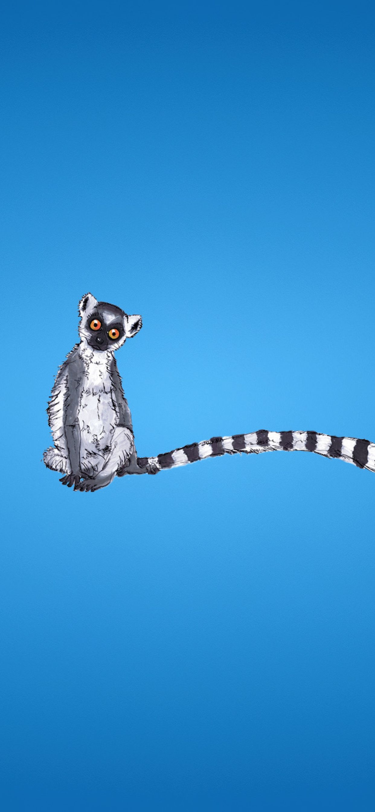 Lemurs Wallpapers