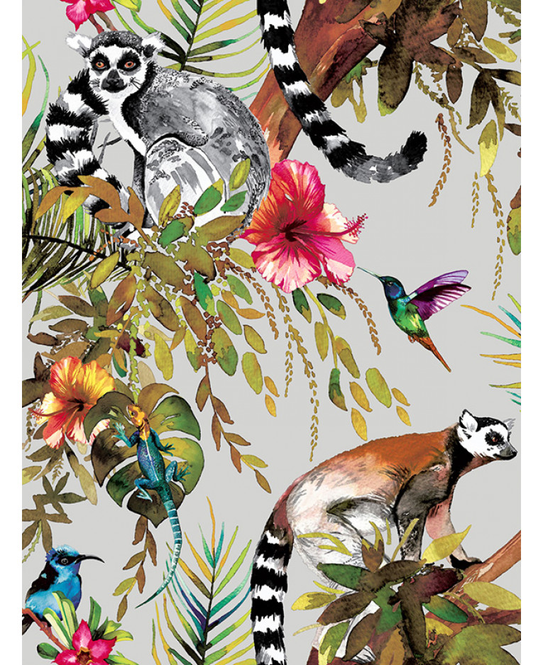 Lemurs Wallpapers