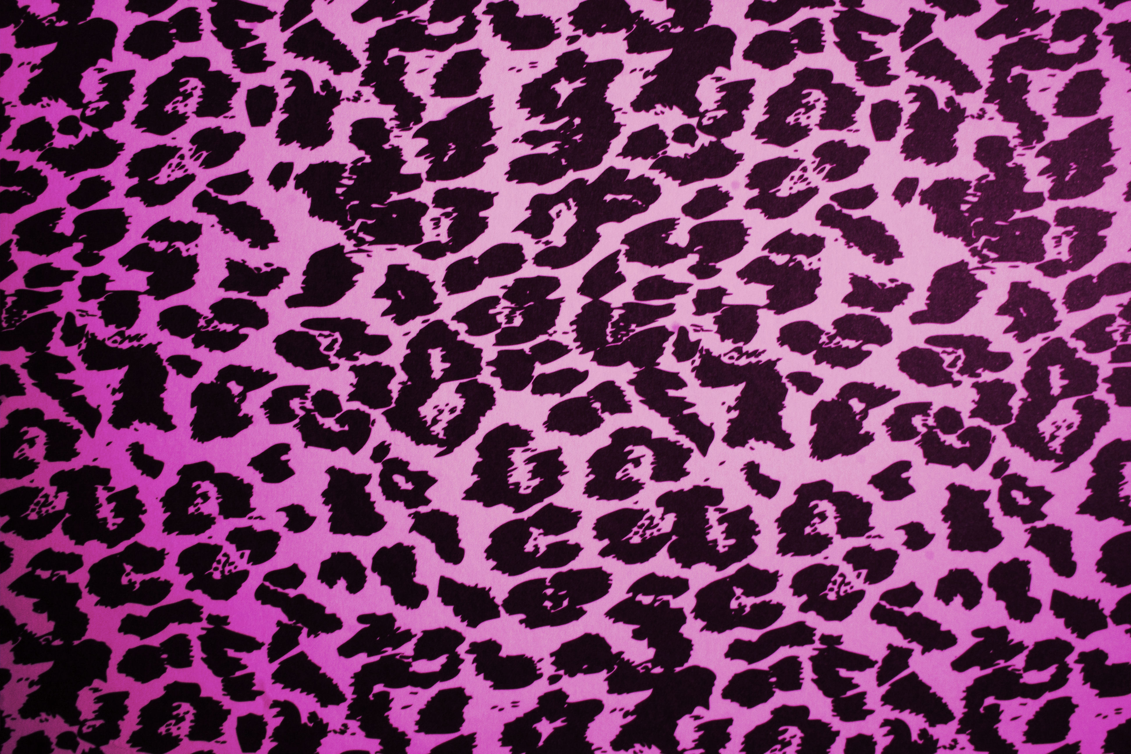 Leopard Wallpapers