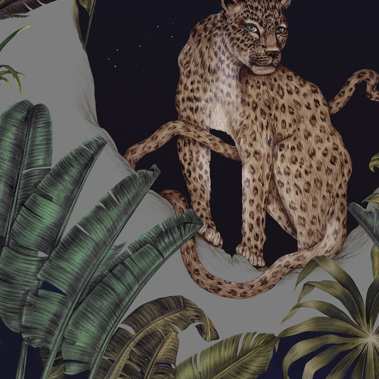 Leopard Wallpapers