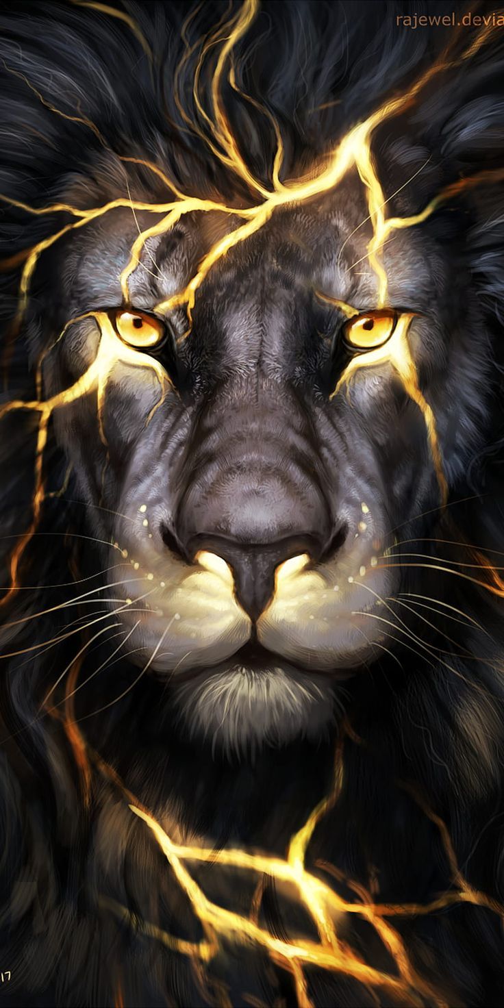 Lion Wallpapers