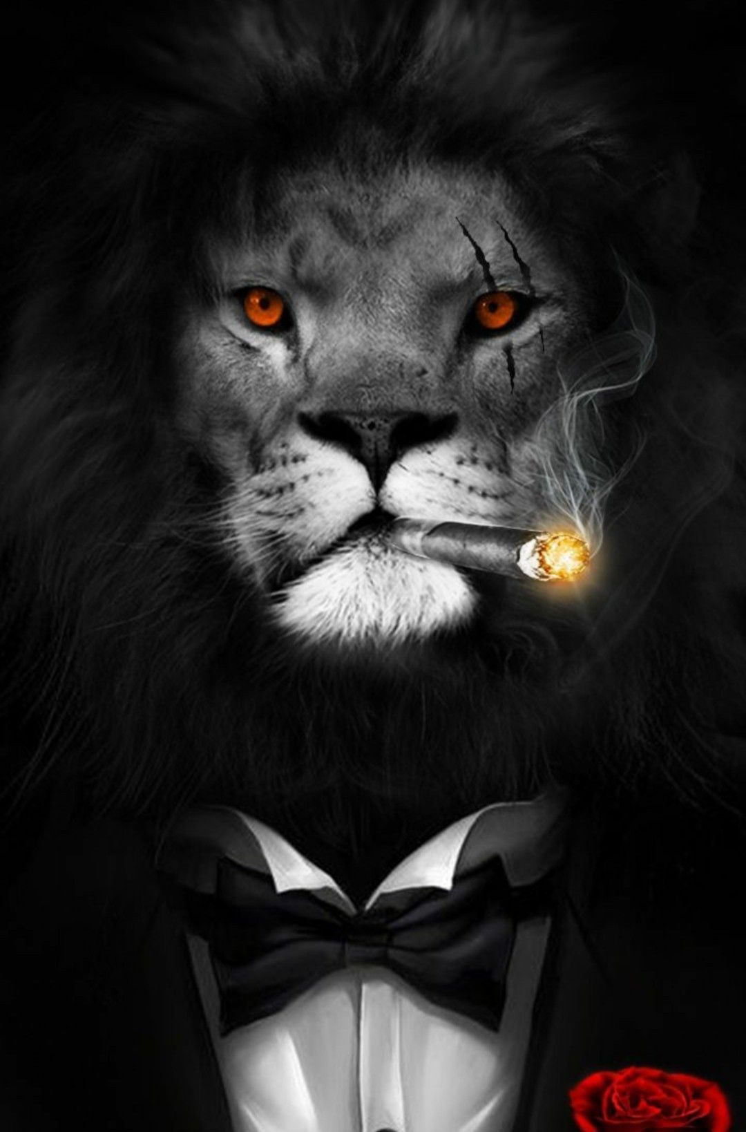 Lion Wallpapers