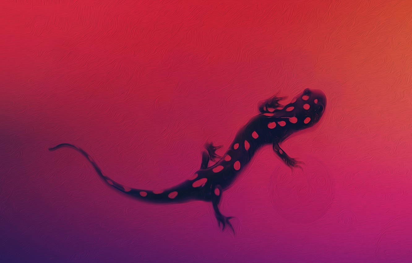 Lizard Wallpapers