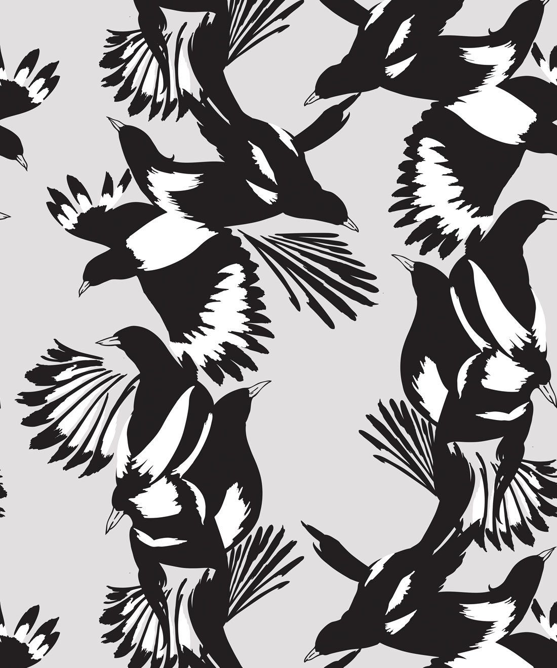 Magpie Wallpapers